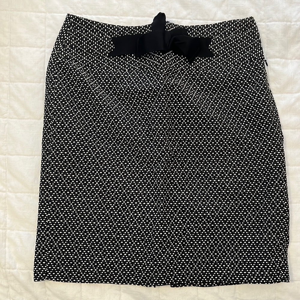 Ann Taylor Loft Skirt